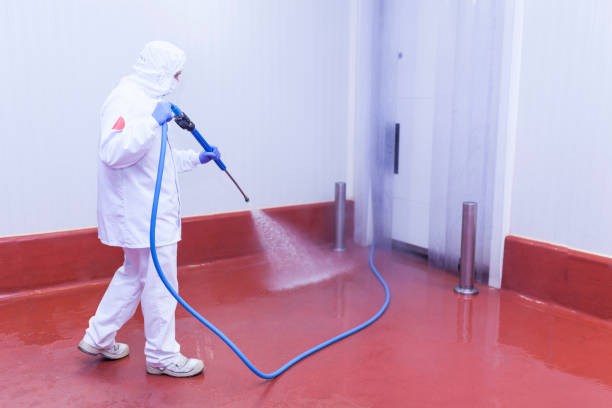 Reliable Tigerville, SC Pressure Washing Services Solutions