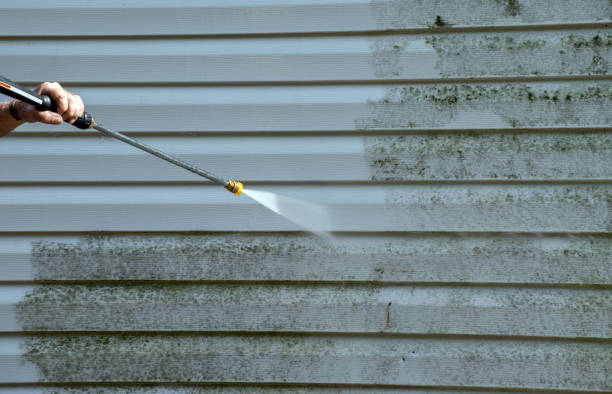 Best Sidewalk and Walkway Cleaning  in Tigerville, SC